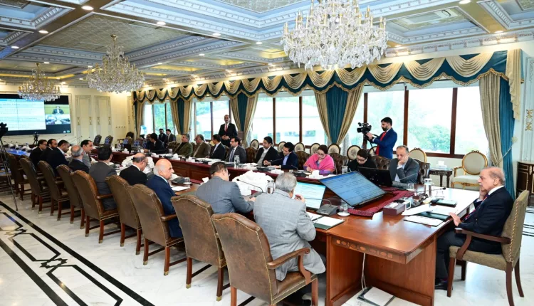 privatisation process